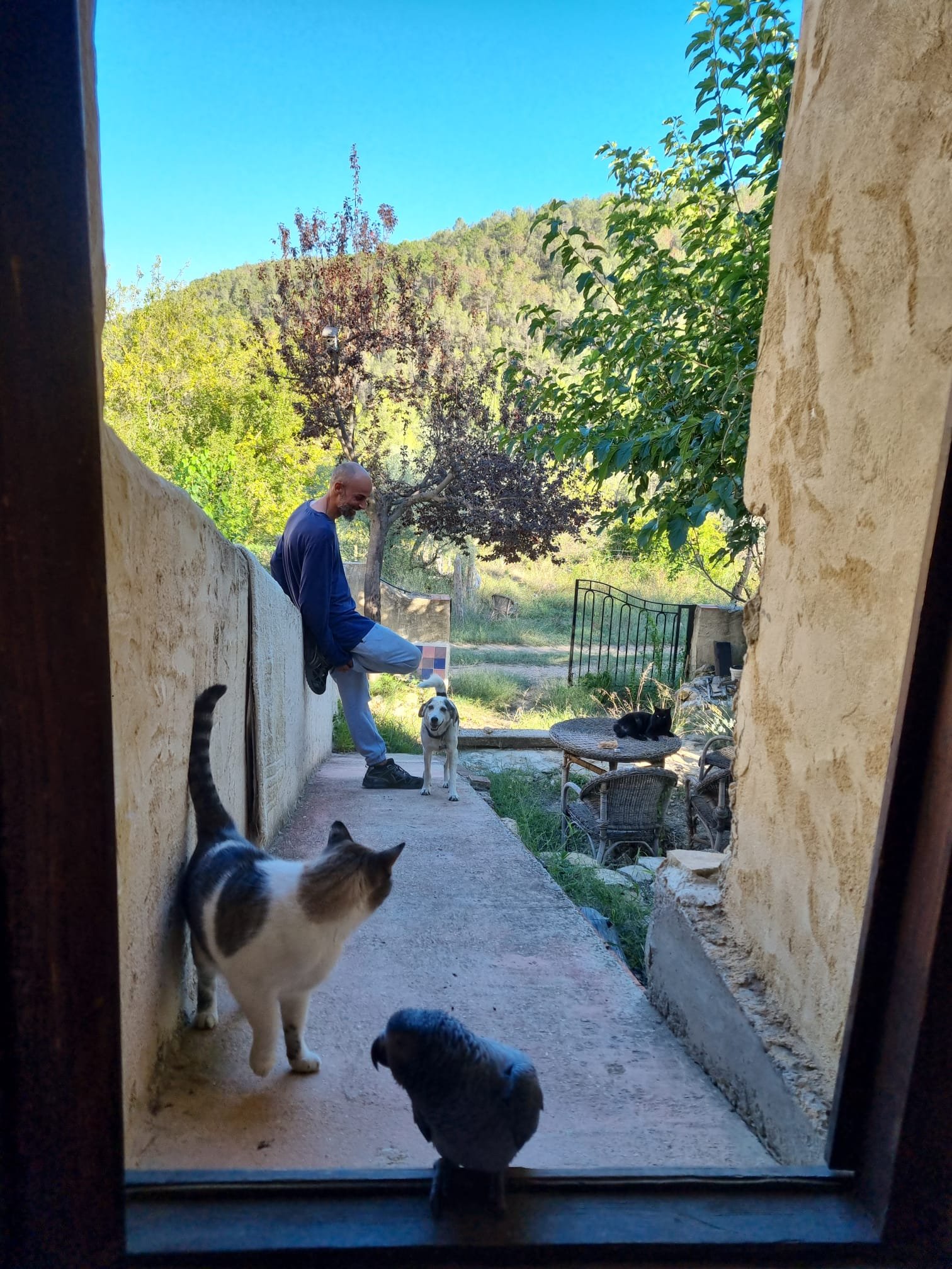 David en La Casa del Agua