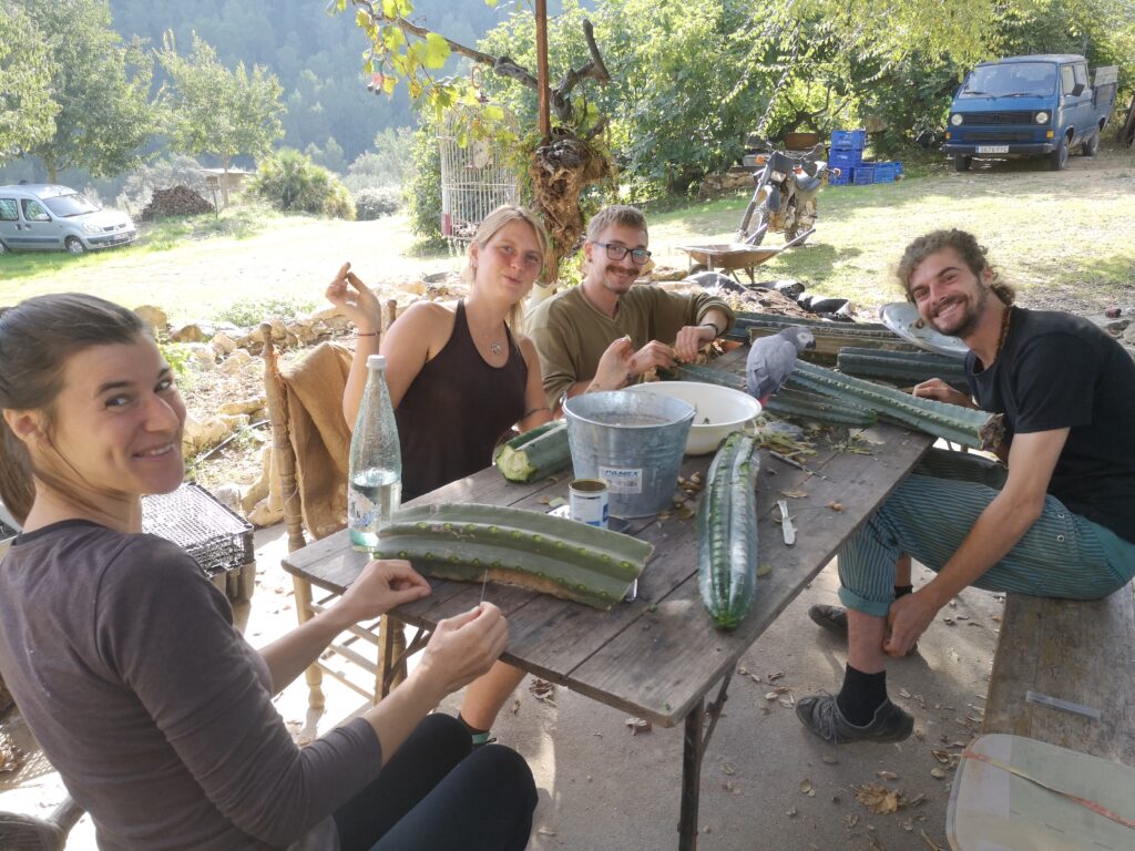 Facilita tu retiro en Casa del Agua: Un espacio de aprendizaje y transformación.