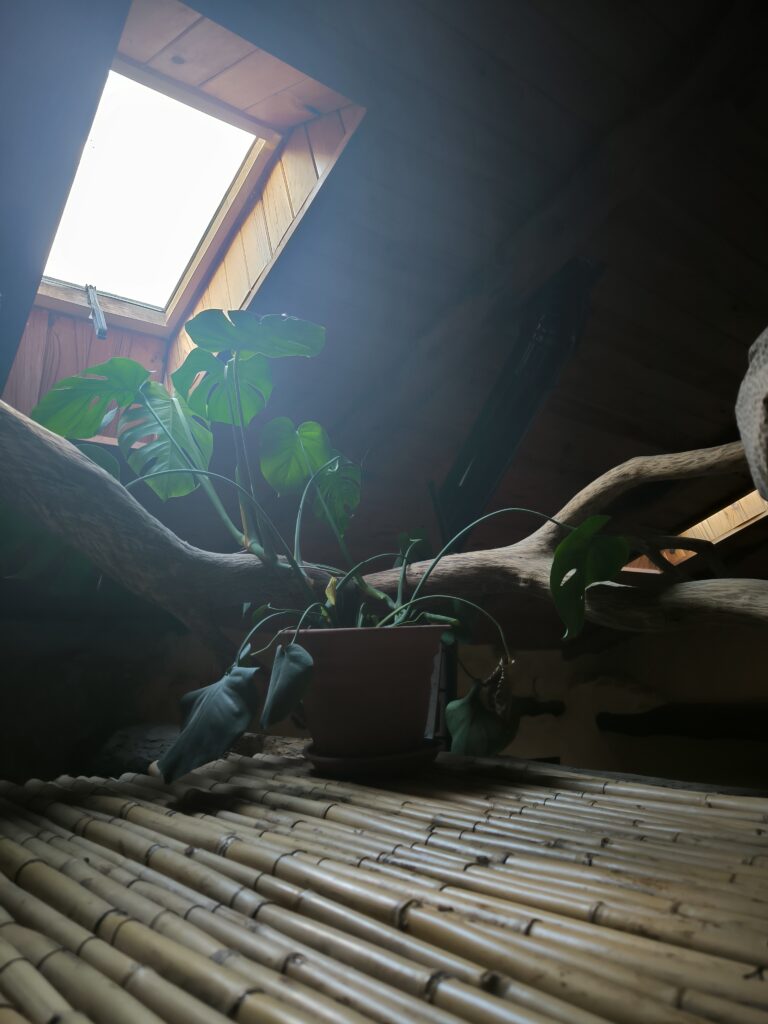 Espacios de descanso en Casa del Agua, rodeados de naturaleza.