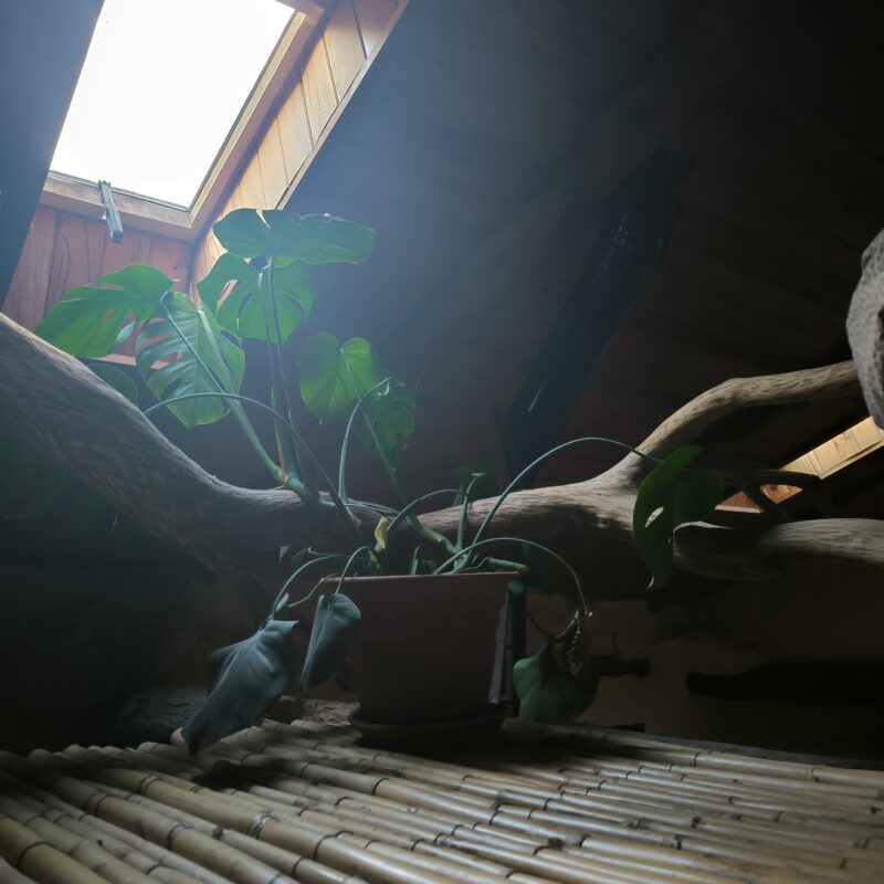 Espacios de descanso en Casa del Agua, rodeados de naturaleza.