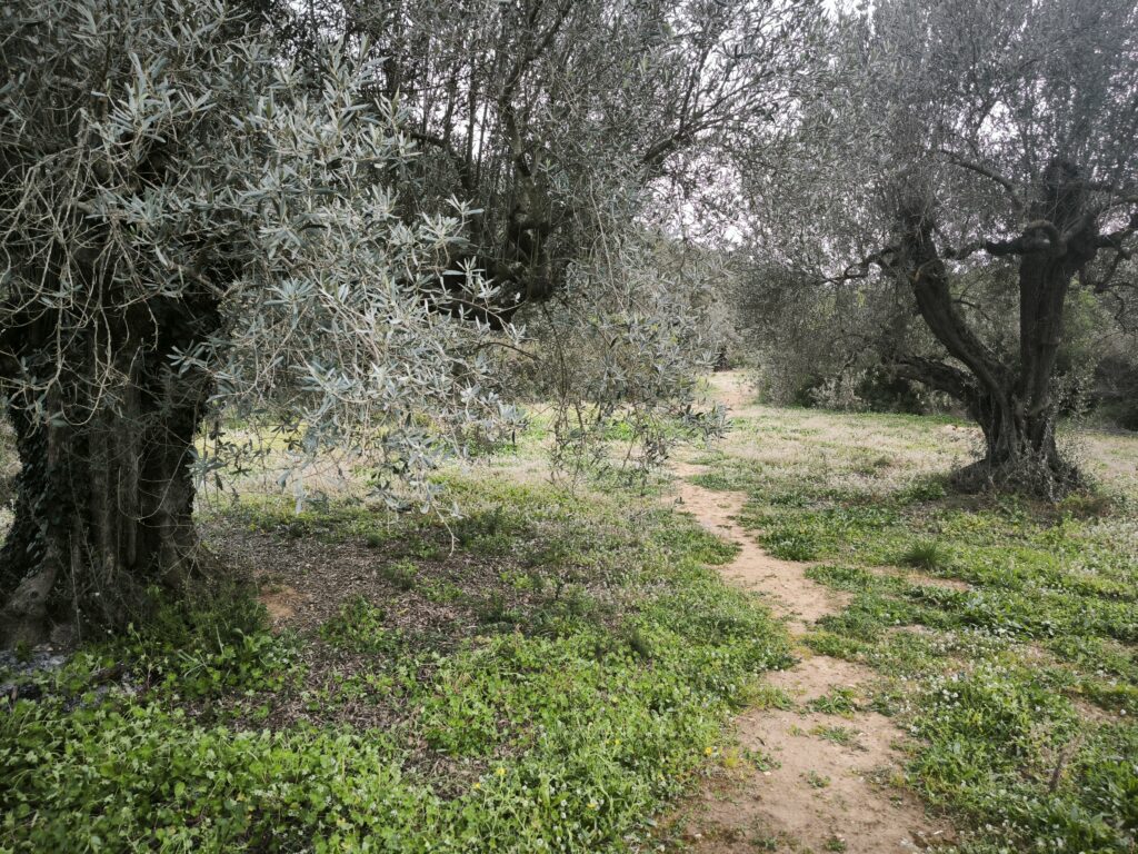 Espacio natural en medio de la montaña ideal para la desconexión digital