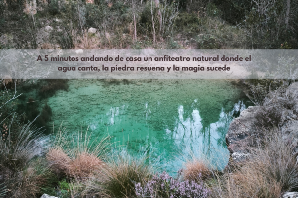Poza de agua cristalina con reflejos verdes, rodeada de bosque y formaciones rocosas. Un rincón escondido donde la naturaleza y el silencio invitan a la conexión y la contemplación.