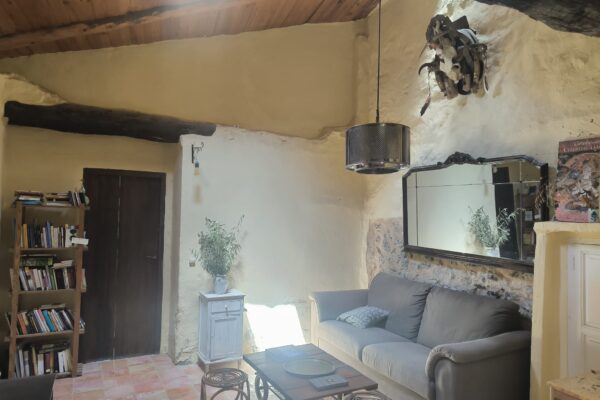 Rincón de lectura acogedor con sofá y estanterías de libros en La Casa del Agua