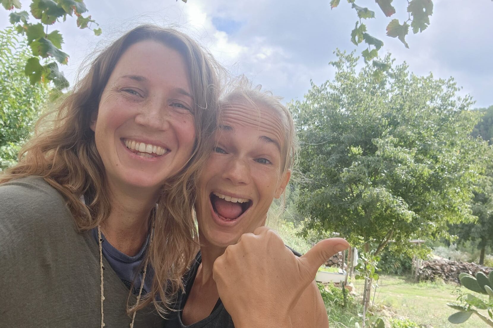 Liberó patrones limitantes